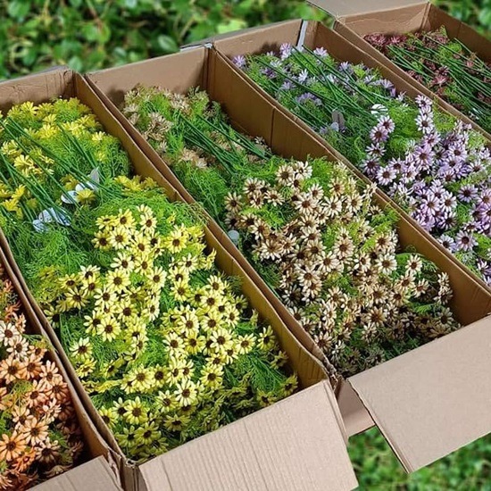แหล่งขายปลีก - ส่งดอกไม้ปลอม Sisterflowers - ขายส่งดอกไม้ประดิษฐ์ราคาถูก