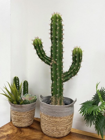 โรงงานจำหน่ายต้นไม้ประดิษฐ์ โรงงานจำหน่ายต้นไม้ประดิษฐ์